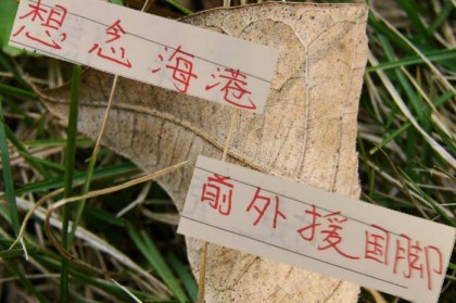 中超三大豪门 就差海港没有外援国脚了 球迷想念奥斯卡吗