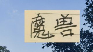 九游入口-比马莱莱高 吨位更加重 申花新魔兽第一赛季能进15球+吗